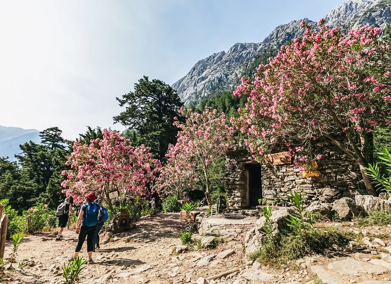 Fra Chania: Heldagsudflugt i Samaria-kløften med guide