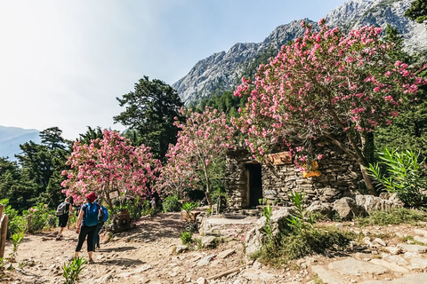 From Chania: Full-Day Samaria Gorge Trek ExcursionFrom Kalyves or Almyrida