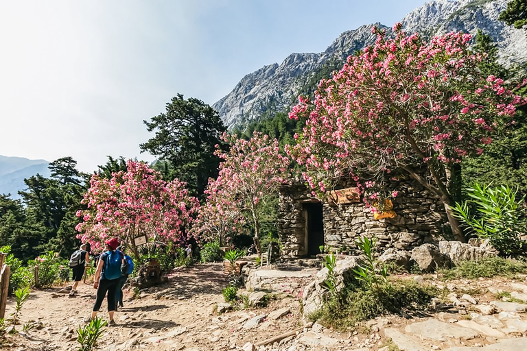 De Chania: Caminhada de 1 Dia à Garganta de SamariáDe Kalyves ou Almyrida