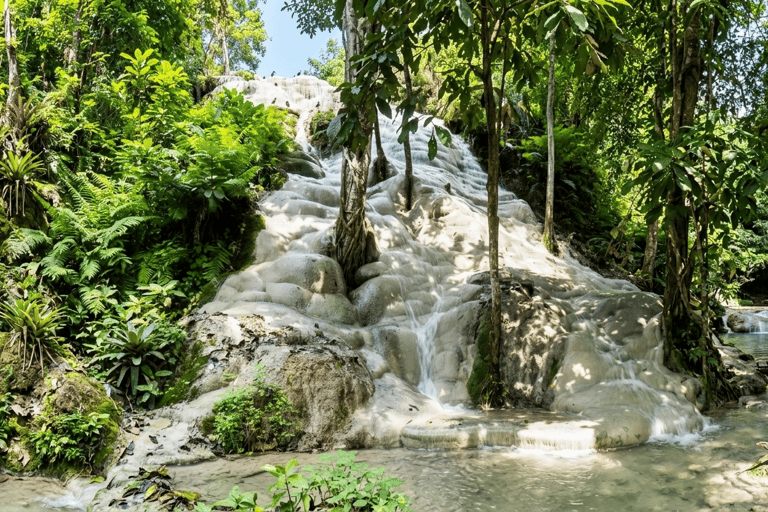 Chiang Mai: Bua Thong Sticky Waterfalls half day