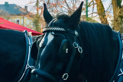 Bad Wörishofen: giro in carrozza storicaBambini