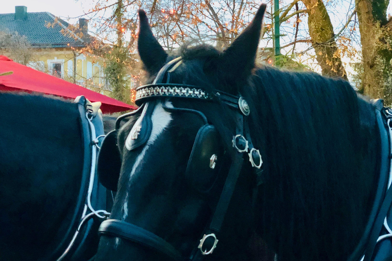 Bad Wörishofen: giro in carrozza storicaBambini