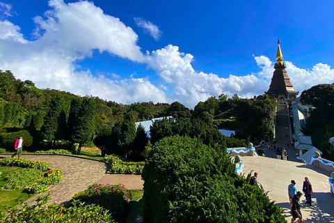 Chiang Mai : Parc national de Doi Inthanon et randonnée Pha Dok Siew