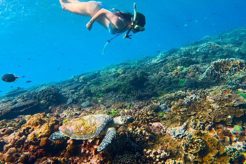 Nusa Penida: Snorkeling Adventure 3-Spots with Manta Rays Nusa Penida: Snorkeling Manta Point 3-Spots with Manta Rays