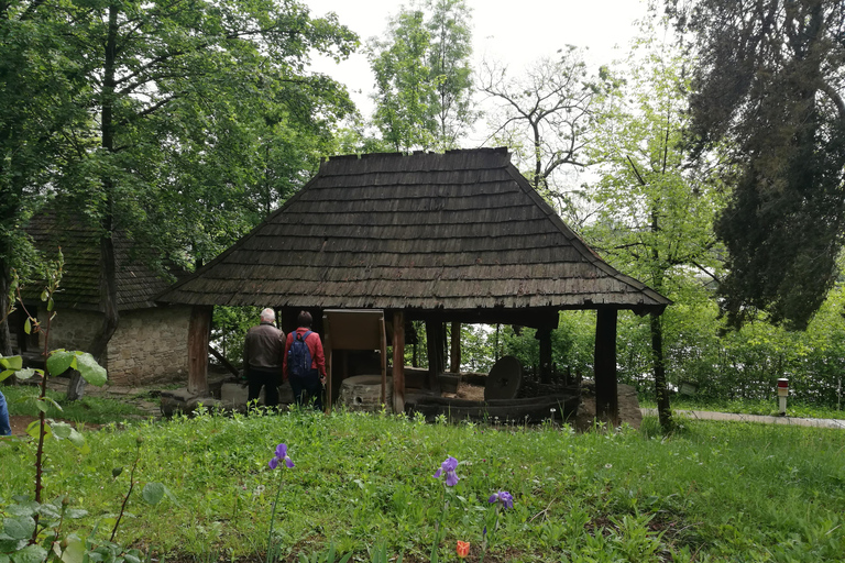 Visita panorâmica de Bucareste com três paragens e duas visitas.