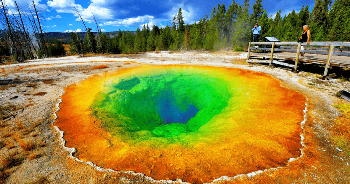 From Salt Lake City: 7-Day Yellowstone and Las Vegas Tour | GetYourGuide