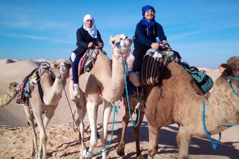 Sahara : Randonnée à dos de chameau dans les dunes du désert avec bivouac d'une nuit, en campingSabria : 2 jours de randonnée à dos de chameau dans les dunes du désert avec c