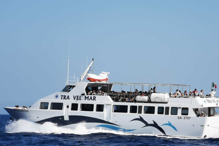 Discover Positano: Scenic Ferry Between Salerno and Positano Positano →→→ Salerno (One Way)