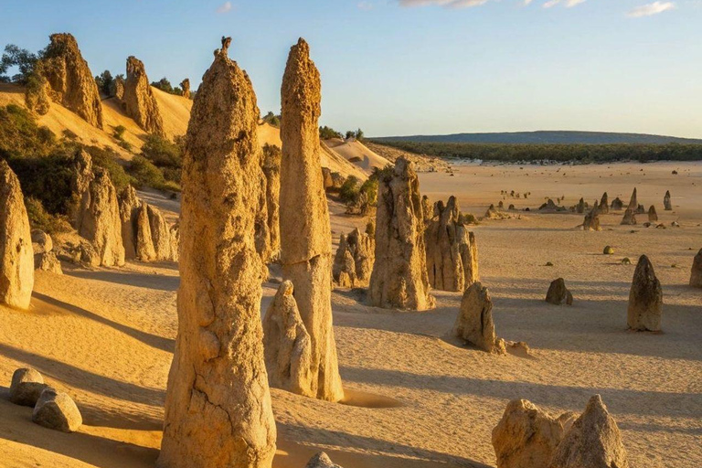 Perth: Pinnacles Desert, Yanchep & Lancelin Private Tour
