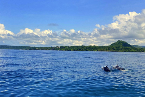 Santa Teresa: Tortuga Island Full Day Boat Tour with Snorkel Santa Teresa: Tortuga Island Boat Tour with Scuba Diving