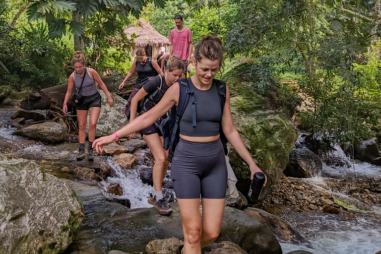 Santa Marta: Hummingbirds, Cocoa, and a Waterfall in Minca (with transfer) Santa Marta: Hummingbirds, Cocoa, and Waterfall in Minca (with transfer)