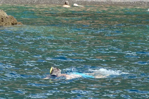 Tourisme de pêche à l'île d'Elbe : démonstration de pêche avec dégustation des prises