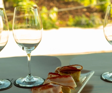 Ostuni organic wines - tour and tasting in the winery