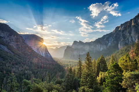 De SF: Passeio de um dia em Yosemite com caminhada e traslado de Sequoias GigantesDe SF: Viagem de 1 dia a Yosemite com caminhada e serviço de busca de Sequóias Gigantes