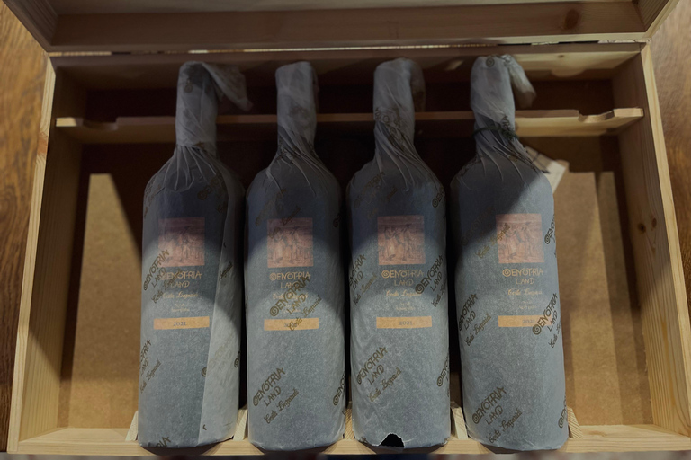 Lindos, Vlycha: Wine tasting with top Greek varieties Vlycha, Lindos: Wine tasting with top Greek varieties