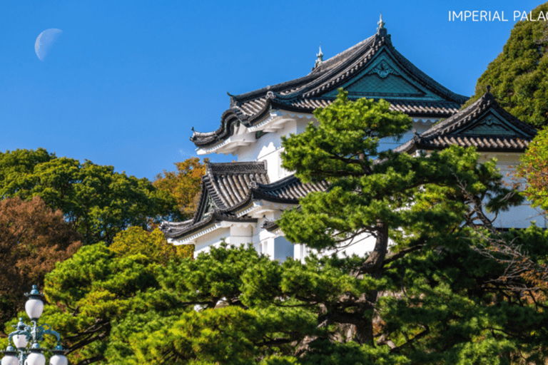 طوكيو في أي مكان تريد! جولة مخصصة في طوكيو في 3 ساعات