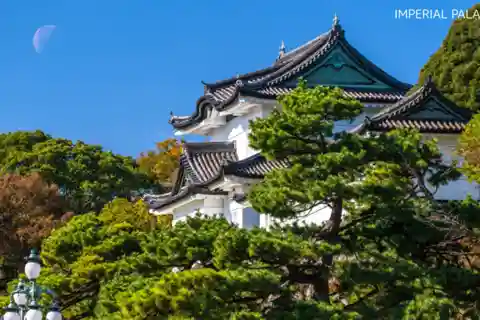 Tokyo : Où vous voulez ! Visite personnalisée de Tokyo en 3 heures