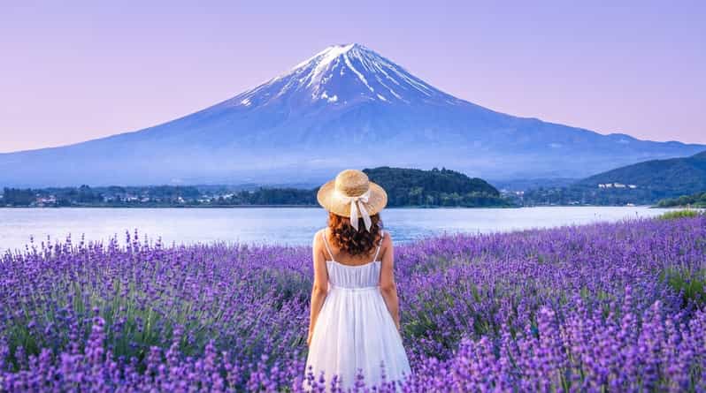 Mt Fuji Top 6 Spots Day Tour:Arakurayama Park,OshinoHakkai