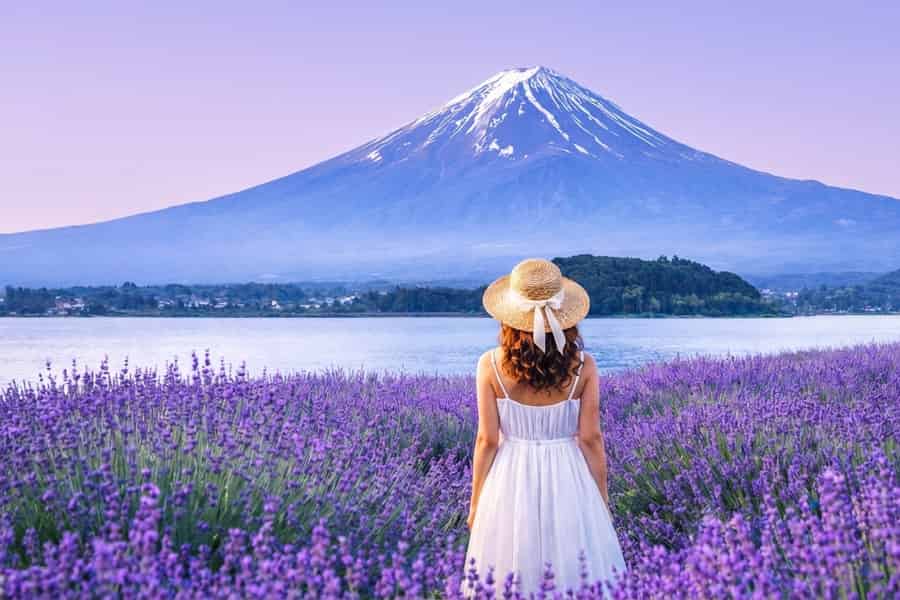 Fuji: Tagestour zu den 6 besten Orten – Arakurayama Park, Oshino Hakkai. Foto: GetYourGuide Fuji: Tagestour zu den 6 besten Orten – Arakurayama Park, Oshino Hakkai. Foto: GetYourGuide