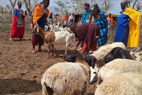 Excursión de un día a la aldea masai desde Nairobi