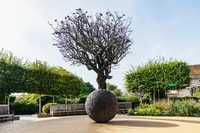 Stratford-upon-Avon, Shakespeare's Birthplace Ticket - Housity