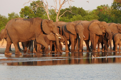 Livingstone: Mosi-oa-Tunya Park Safari and Zipline Tour