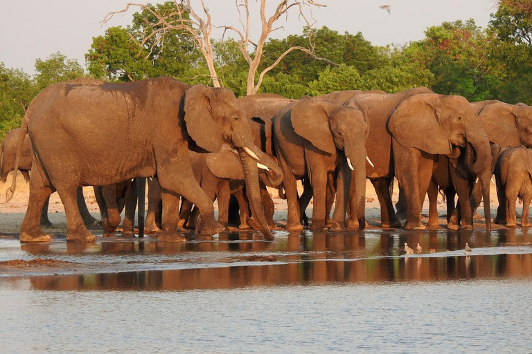 Livingstone: Mosi-oa-Tunya Park Safari and Zipline Tour