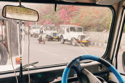 斋浦尔：琥珀堡、纳哈加尔堡、贾加尔堡吉普车之旅琥珀堡吉普车之旅（含导览）