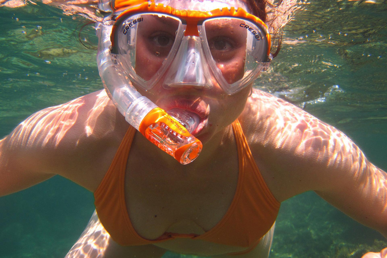 Snorkling och mangroveskog med lunch i Baru white beach Cartagena