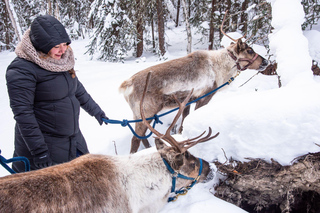 Helicopter Tours in Fairbanks, Alaska