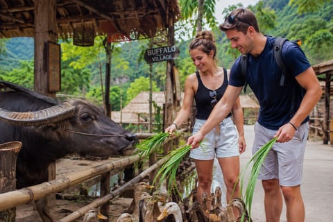 Tam Coc: Thai Vi Temple, Coi Khe Village & Buffalo Farm Tour - Image 2