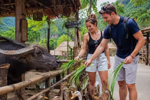 Tam Coc: Thai Vi Temple, Coi Khe Village & Buffalo Farm Tour - Image 3
