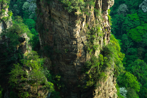 Zhangjiajie: Essential Tour with Avatar's Pandora on Earth