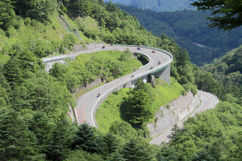 Z Tokio: Nagano, świątynia Zenkoji, wycieczka 1-dniowa ze śnieżnymi małpamiZ Tokio: Prywatna 1-dniowa wycieczka do Nagano, świątynia, śnieżne małpy