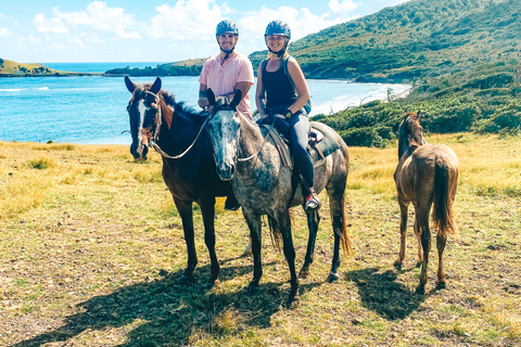 St. Lucia: Private Horseback Riding Tour with Sandy Hoofs
