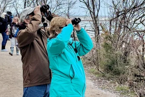 Pearlington : Visite à pied du marais du diable (Devil's Swamp Eco Walking Tour)