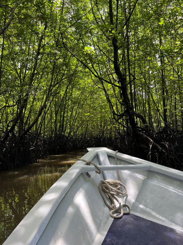 Langkawi: UNESCO Global Geopark Mangrove Cruise