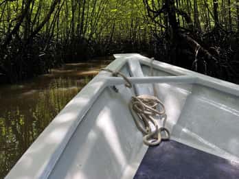 Langkawi: UNESCO Global Geopark Mangrove Cruise