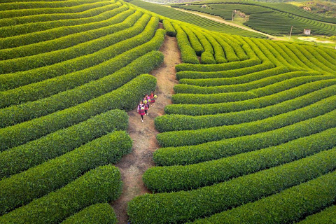 From Hanoi: Ta Xua 2D1N Cloud Cabin Retreat with Meals