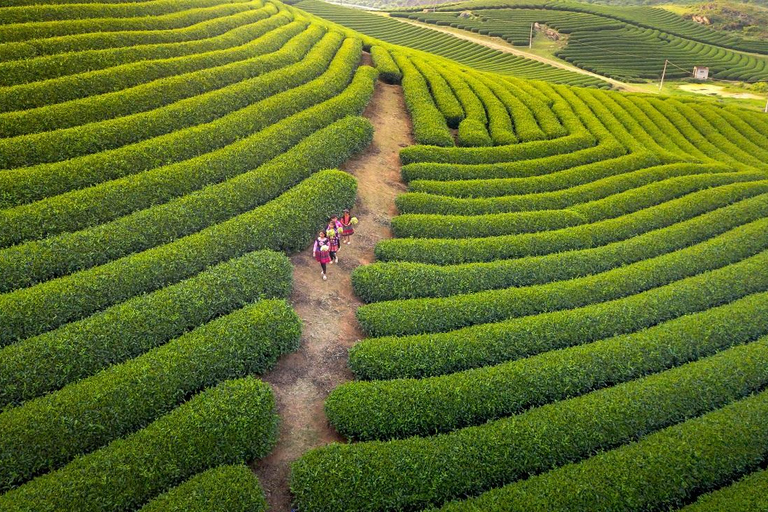 From Hanoi: Ta Xua 2D1N Cloud Cabin Retreat with Meals