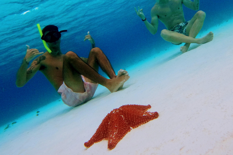 Cozumel: Starfish, Stingrays, and Turtle Bay Snorkeling Tour