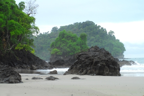 Manuel Antonio: Ontdek de tropische bossen & het witte zand