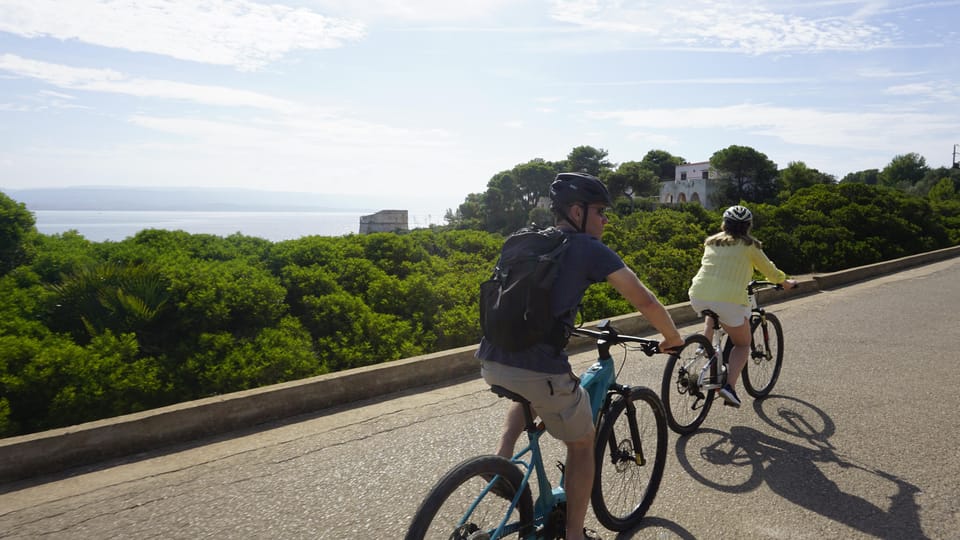 Alghero: Coral Coast Bicycle Tour | GetYourGuide