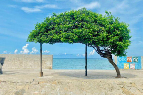 Ho Chi Minhstad: 2-daagse tour naar het eiland Phu Quy met maaltijden