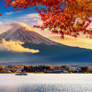 Tokyo: Mount Fuji, Kawaguchi Lake, Oshino Hakkai 1-Day Trip