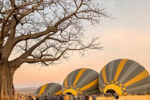 Serengeti: 3-Day Migration Safari with Hot Air Balloon Ride