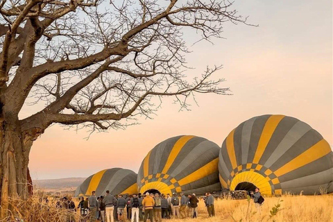 Arusha : 3 jours dans le Tarangire, le Serengeti et le Ngorongoro3 jours dans le Tarangire, le Serengeti et le Ngorongoro