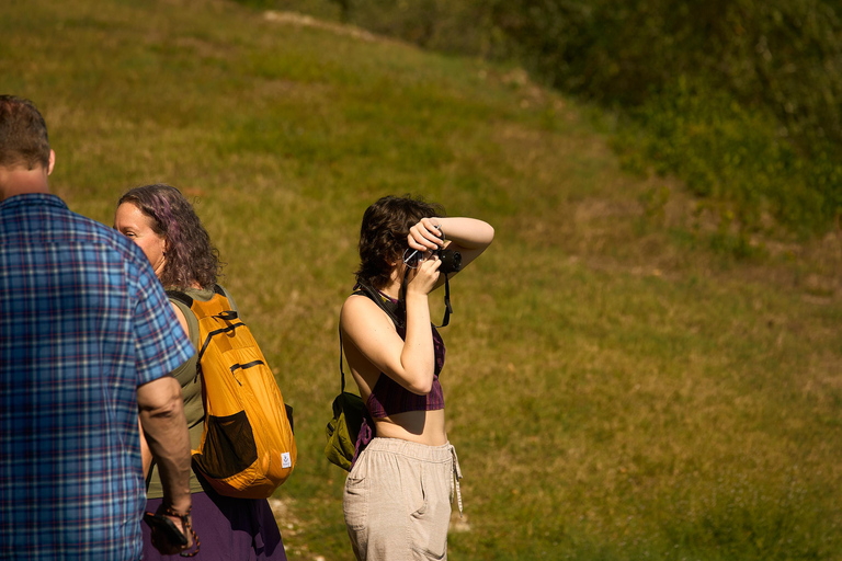 Florenz: Tolle Chianti-Wein- und Olivenöl-Tour mit MittagessenWein und Olivenöl – ein echtes Erlebnis