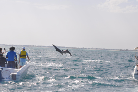 Djerba: Half-Day Boat Trip, Dolphin Watching, Swimming, and Lunch