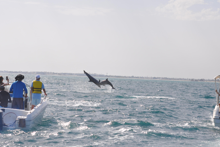 Djerba: Half-Day Boat Trip, Dolphin Watching, Swimming, and Lunch